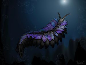 کرم 500 میلیون ساله به نام کرم های شنی غول پیکر در تپه طبیعت