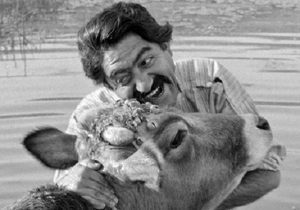چگونه فیلم گاو توانست در سینمای ایران انقلاب ایجاد کند؟